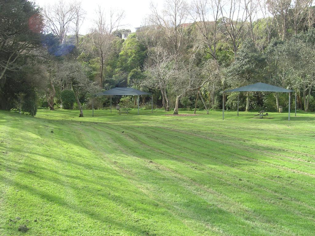 Bucket Tree Lodge Tawa Dış mekan fotoğraf