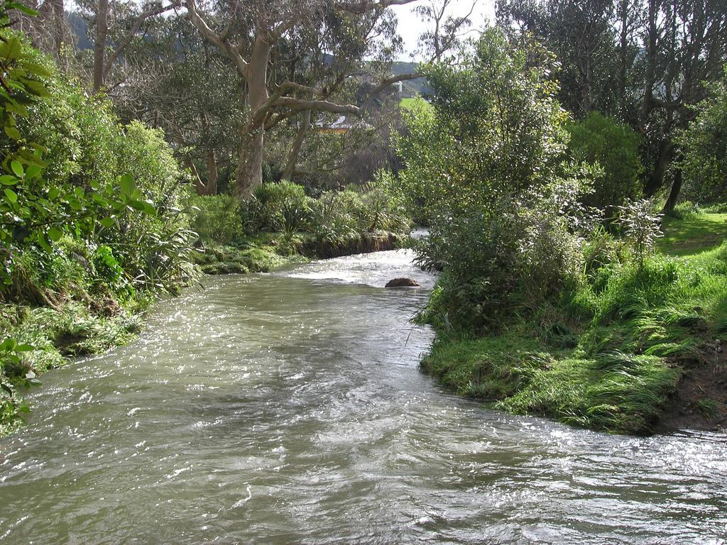 Bucket Tree Lodge Tawa Dış mekan fotoğraf